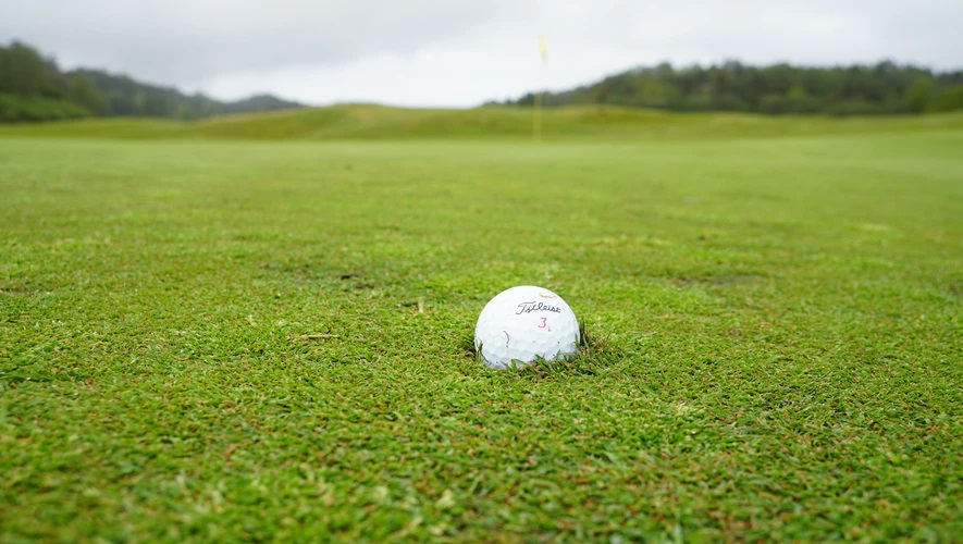 pitchmark repareren